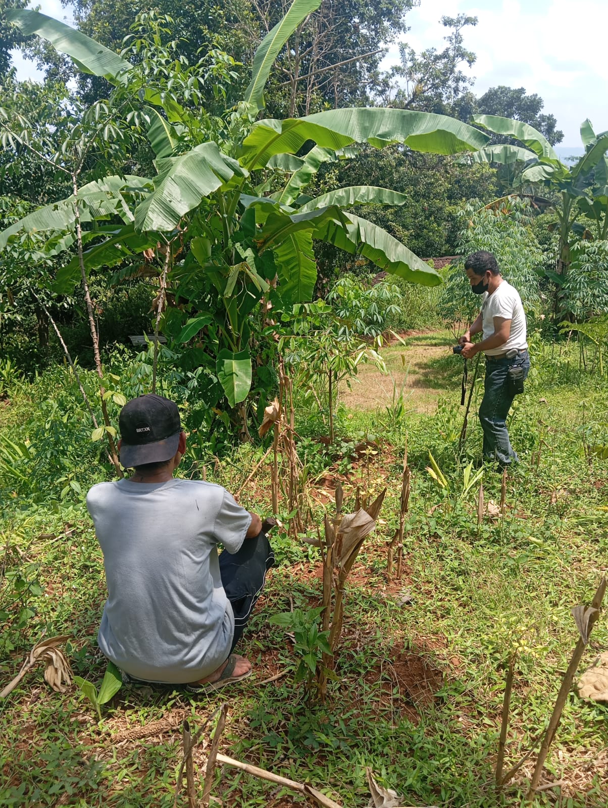 apikri-conducts-replanting-monitoring-in-gunungkidul-village