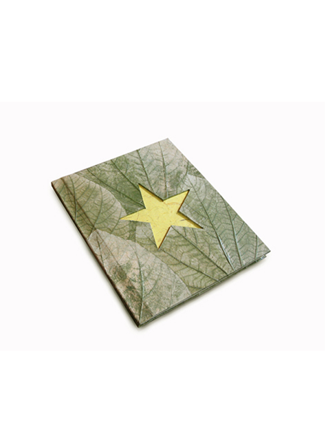 notebook-of-yellow-star-book
