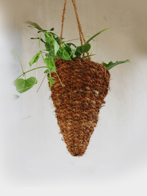 vase-cone-hanging