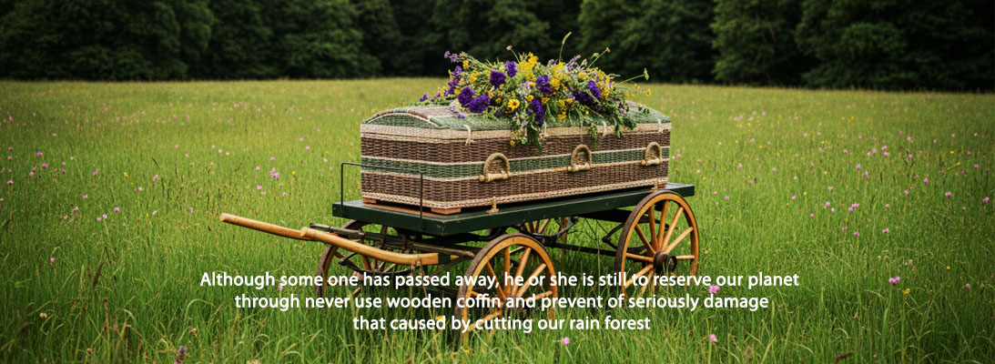 slideshow 7.jpg